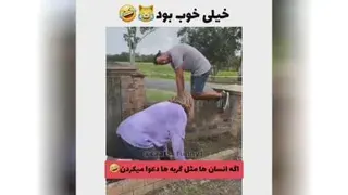 😂😂واقعا گربه ها موجودات دوست داشتنی