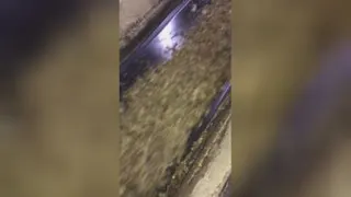شرکت جهان کشت دشت اوان