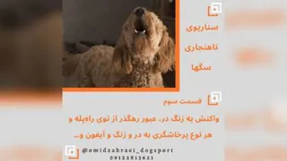 رفتارشناسی و رفع ناهنجاری