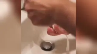 کاشت گیلاس