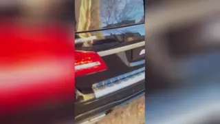 زن زلیلی هم عالمی دارد