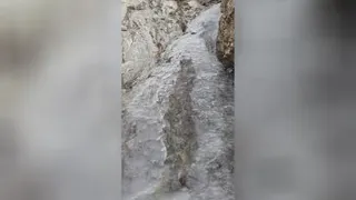 جریان حیات