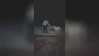 مهربانی با حیوانات