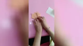 ارگونمی روباه