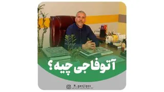 لاغری سریع | آتوفاجی چیست؟