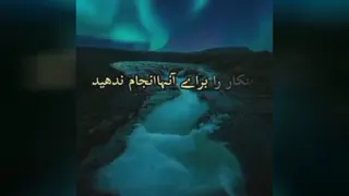 شکر گذاری