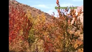 پاییز رنگارنگ