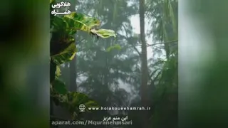 کلیپ دکتر هلاکویی_مشاوره ازدواج