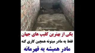 مادر شجاع