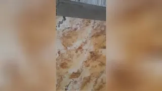 تراورتن شک