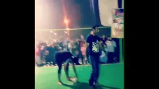 ورزشی