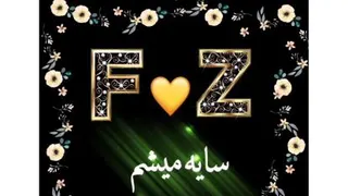 کلیپ اسمی F و Z