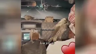 آهنگ بلوچی