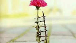 فرش دستباف