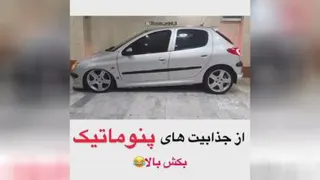 206 rc