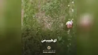 نوحه ای که ماندگار شد
