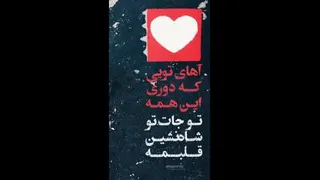 ویدئو کلیپ