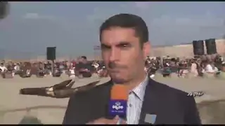 آیین بیل گردانی