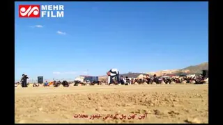 جشن بیل گردانی