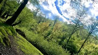 طبیعت شمال ایران