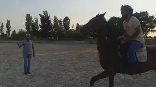 اسب سواری