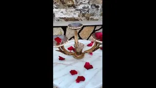 ظروف دکوراتیو رزینی
