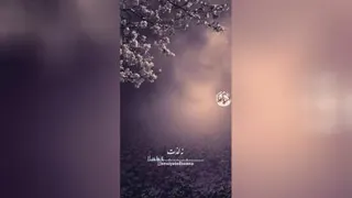 نظم جهان