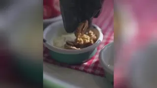 بهترین کافه رستوران اصفهان