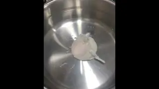 خلاقیت