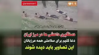 دستگیری داعش