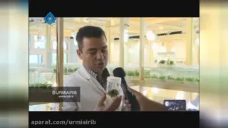 مزیت نهال پایه رویشی