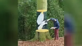 هنرنقاشی روی درخت