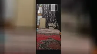 پرتاب میخ
