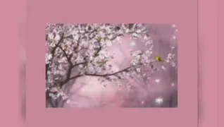#سال نو مبارک