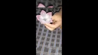 گلسازی