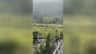 شیرگاه زیبای من🌿🌞🌻