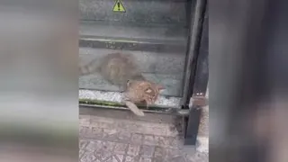 چطوری میشه؟! 🤔😂