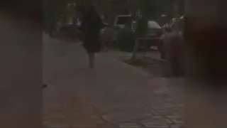 خواهشا و لطفا ببینید☝️ مدیونی بعداینکه دیدی به دوستهات و گروه هات نفرستی