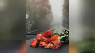 راغب جاده وبارون