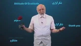 شکرگزاری