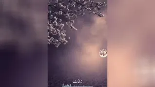 نظم جهان