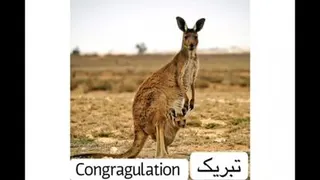 انگیزشی اموزشی