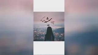 کلیپ کوتاه
