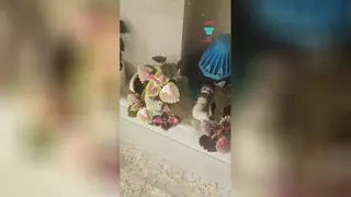 گل وگیاه