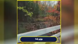 کلیپ یلدایی با گوینده شماره 14