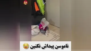 پیداش نکن