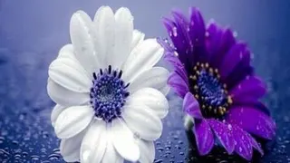 کلیپ انگیزشی