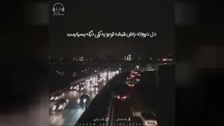 رضا صادقی