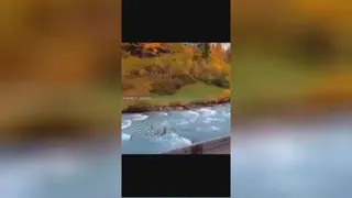 آهنگ زیبا و دل نشین