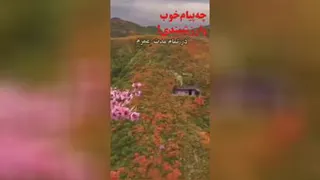 شکرگذارباشیم.